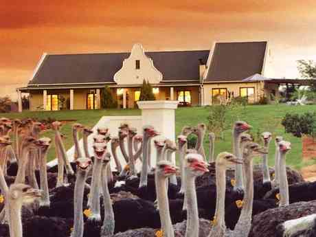 Mooiplaas Guest House
